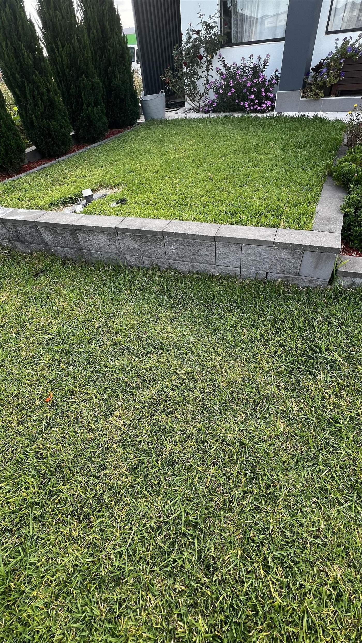 Hardscape Project 11